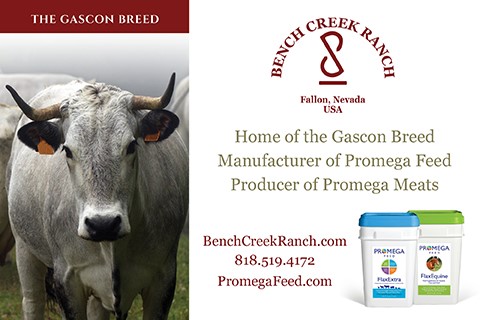 Bench Creek Ranch/Gascon Cattle
